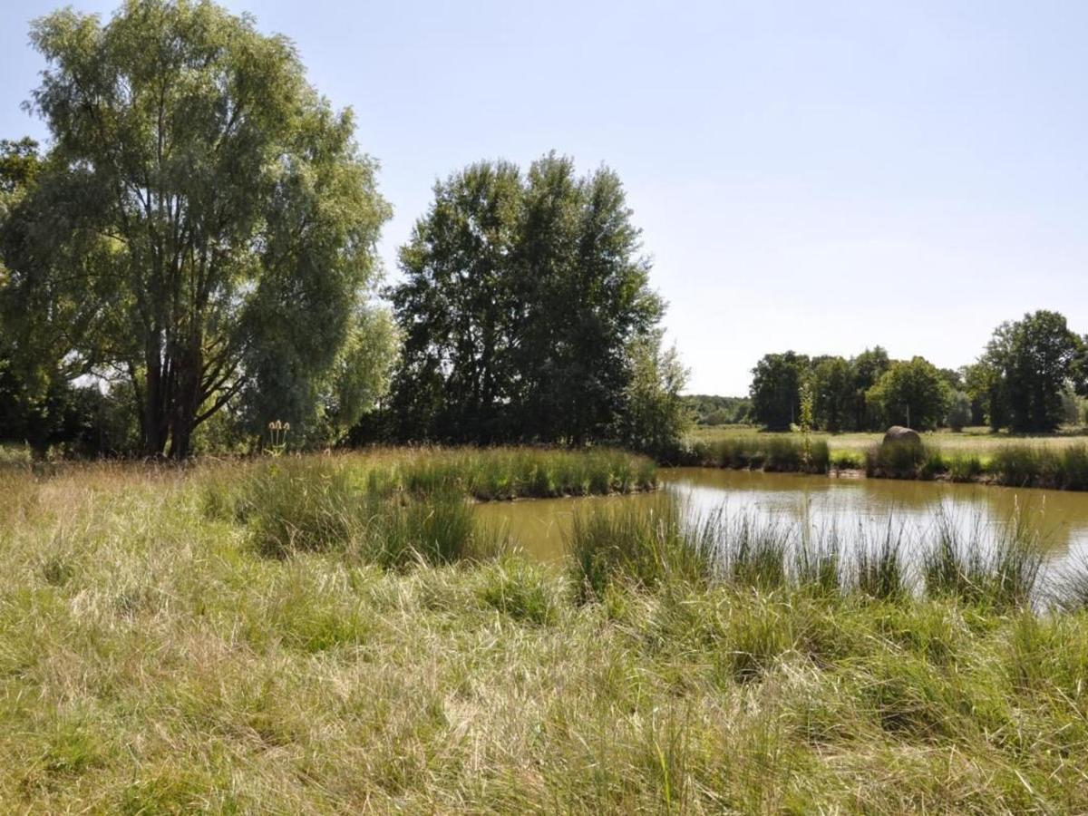 Gite Familial En Ferme Avec Jardin, Proche Foret Et Canal D'Orleans - Label Tourisme Et Handicap - Fr-1-590-7 Chailly-en-Gatinais Buitenkant foto